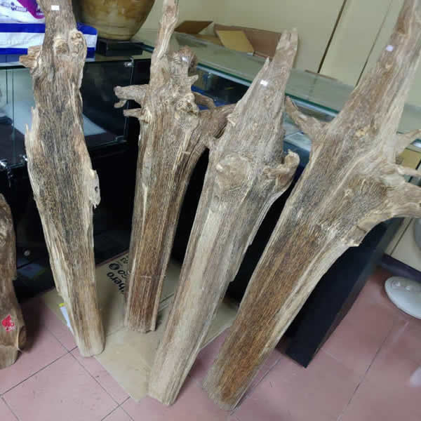 收購沉香